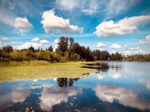 Lake Harunda Reflection painting